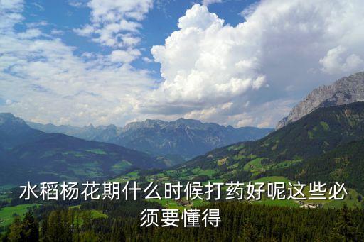 水稻農藥什么時候施加,水稻什么時候打農藥