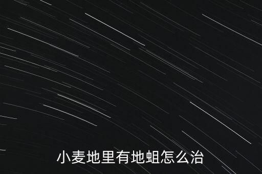 小麥地里有地蛆怎么治