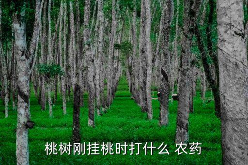 什么農藥埋樹頭長水果
