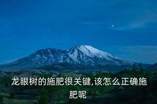  龍眼樹的施肥很關鍵,該怎么正確施肥呢