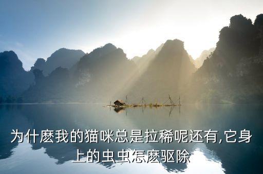為什麼我的貓咪總是拉稀呢還有,它身上的蟲蟲怎麼驅除
