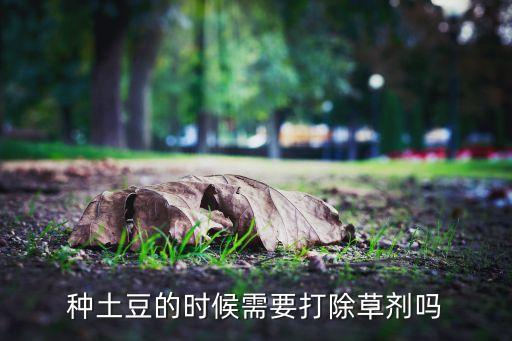 用什么農藥除鬼針草,鬼針草的花有什么功效