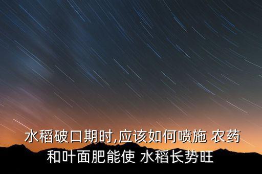  水稻破口期時,應該如何噴施 農藥和葉面肥能使 水稻長勢旺