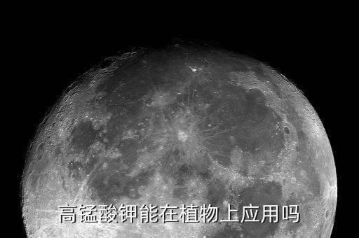 干腐病用什么農藥,花卉軟腐病用什么農藥