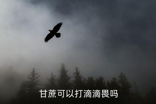  甘蔗可以打滴滴畏嗎