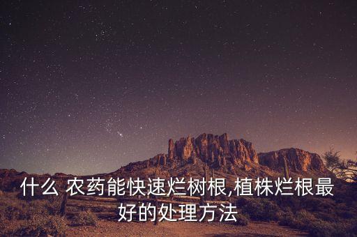 什么 農(nóng)藥能快速爛樹根,植株爛根最好的處理方法