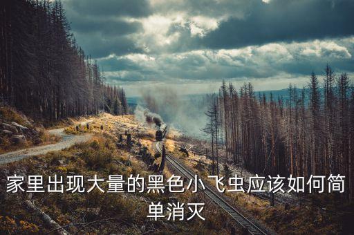 家里出現大量的黑色小飛蟲應該如何簡單消滅