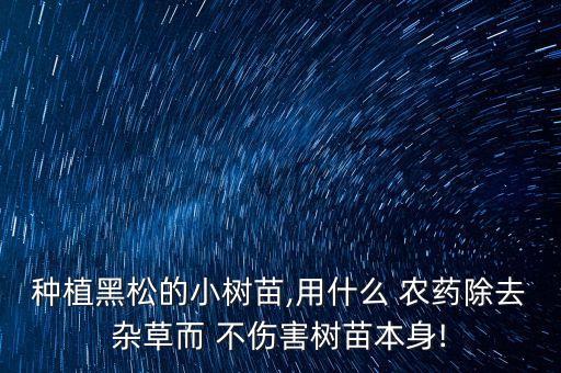 種植黑松的小樹苗,用什么 農(nóng)藥除去雜草而 不傷害樹苗本身!