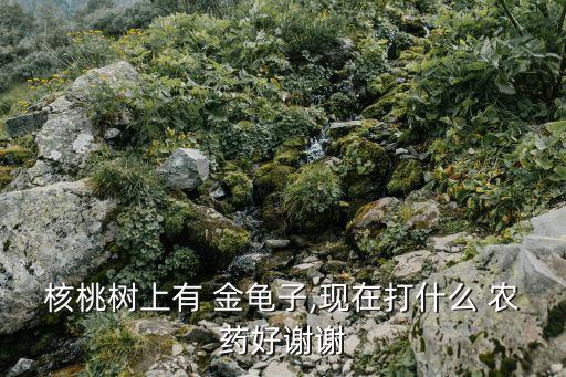 金龜子用什么農藥便宜,什么農藥最便宜