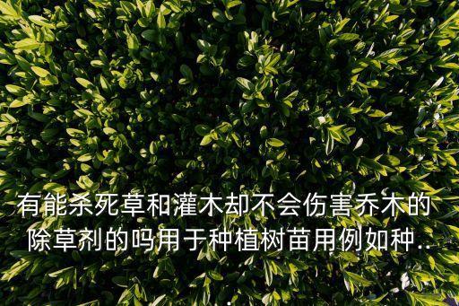 有能殺死草和灌木卻不會(huì)傷害喬木的 除草劑的嗎用于種植樹苗用例如種...