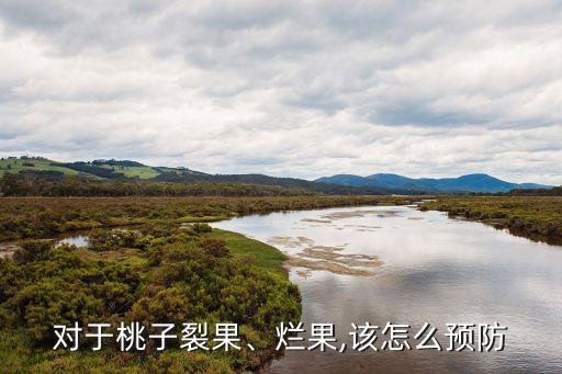 對于桃子裂果、爛果,該怎么預防