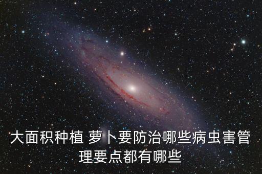 大面積種植 蘿卜要防治哪些病蟲害管理要點都有哪些
