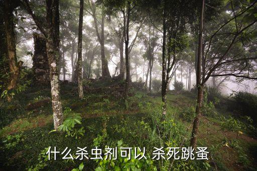 狗蚤用什么農(nóng)藥殺死