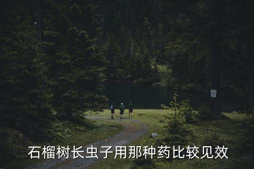  石榴樹長蟲子用那種藥比較見效