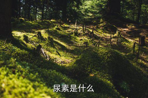 隴南什么是農藥中間體,生產農藥中間體需要什么許可