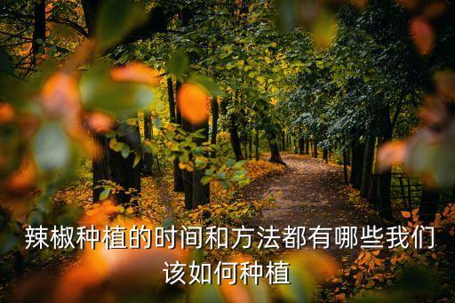 辣椒什么時(shí)間噴農(nóng)藥,辣椒開花時(shí)候可噴農(nóng)藥嗎