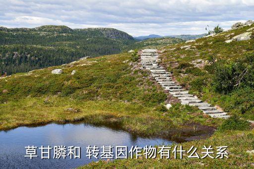 草甘膦和 轉基因作物有什么關系
