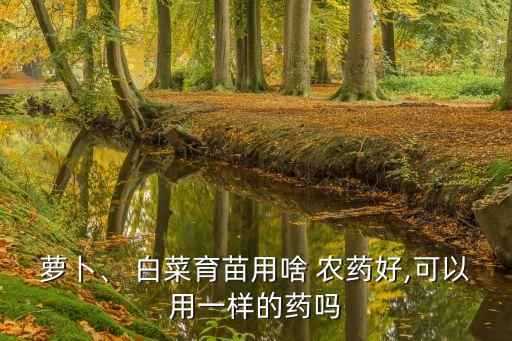 ,白菜出苗后打什么農藥