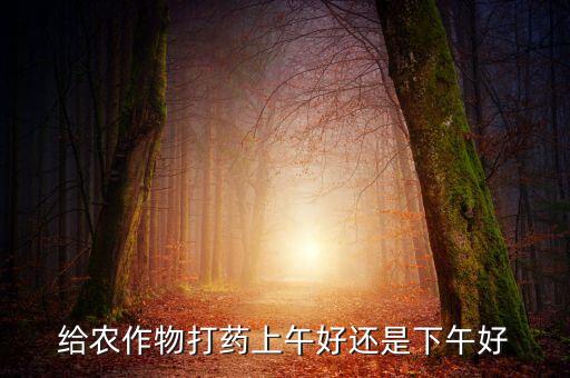 為什么早晨玩農藥人少呢