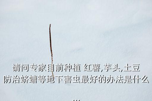 紅薯打什么農藥防蟲害最佳