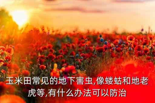 農(nóng)藥殘虎能打什么蟲