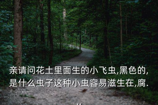 親請(qǐng)問花土里面生的小飛蟲,黑色的,是什么蟲子這種小蟲容易滋生在,腐...