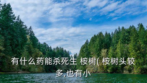 有什么藥能殺死生 桉樹( 桉樹頭較多,也有小