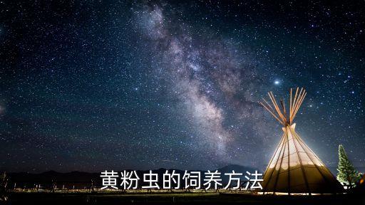 養(yǎng)黃粉蟲(chóng)放什么農(nóng)藥好用,黃粉蟲(chóng)可以養(yǎng)什么動(dòng)物