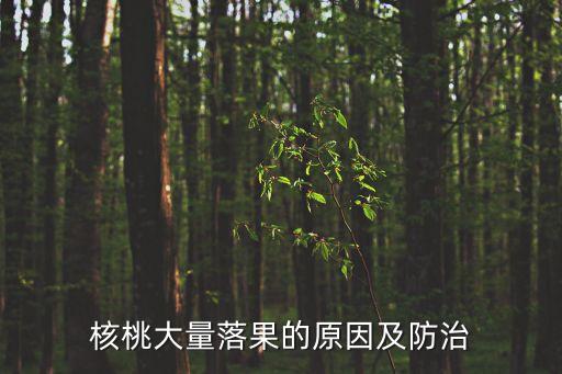 核桃大量落果的原因及防治