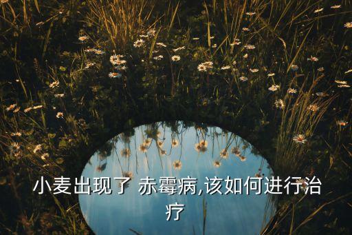 小麥赤霉病用什么農藥好,防治小麥赤霉病農藥最佳配方