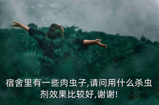 宿舍里有一些肉蟲子,請問用什么殺蟲劑效果比較好,謝謝!