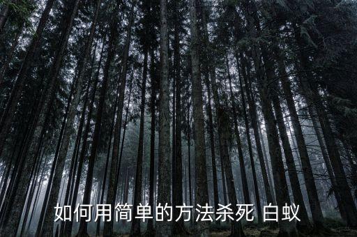 什么農藥可以殺滅白蟻,白蟻用什么農藥最好