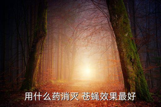 用什么藥消滅 蒼蠅效果最好