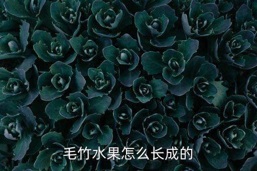 毛竹水果怎么長成的