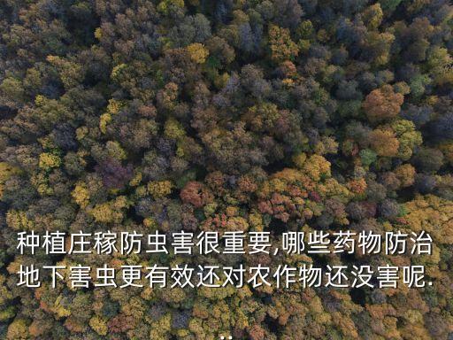 紅薯螻蛄用什么農藥,紅薯要噴什么農藥呢