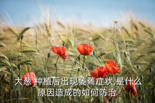  大蔥 種植后出現萎蔫癥狀,是什么原因造成的如何防治