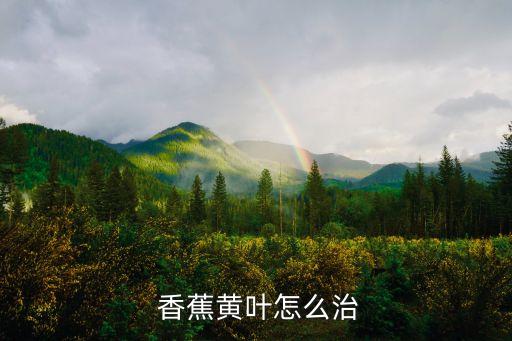  香蕉黃葉怎么治