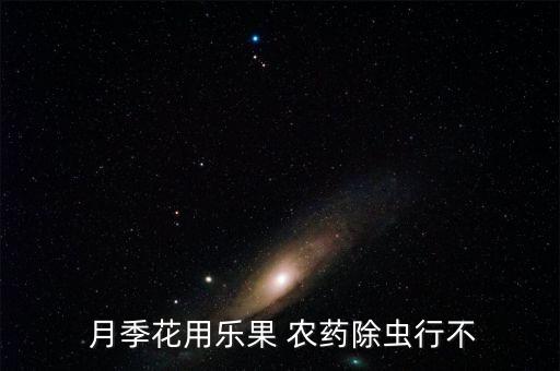 月季用什么農藥噴,月季噴醋有什么好處
