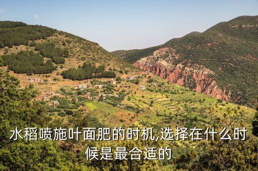 水稻噴施葉面肥的時機,選擇在什么時候是最合適的