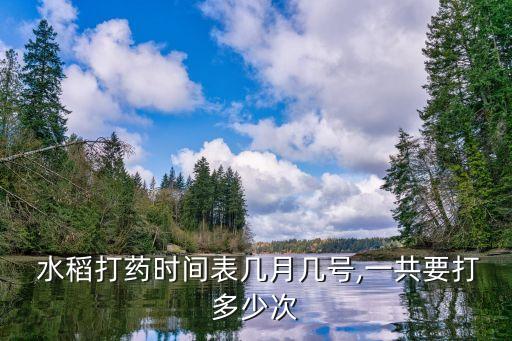 水稻這時候打什么農藥,什么農藥對水稻傷害最大