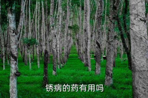  銹病的藥有用嗎