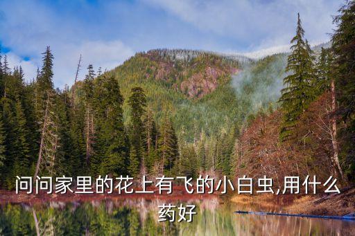 ,什么農(nóng)藥能殺毒蜂毒蟲子