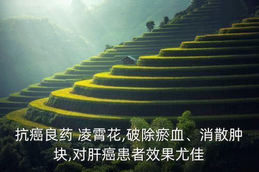 凌霄用什么農(nóng)藥