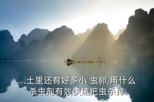 ...土里還有好多小 蟲卵,用什么殺蟲劑有效快速把蟲殺掉
