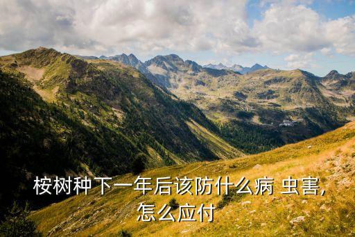 ,桉樹小苗蟲害用什么農藥