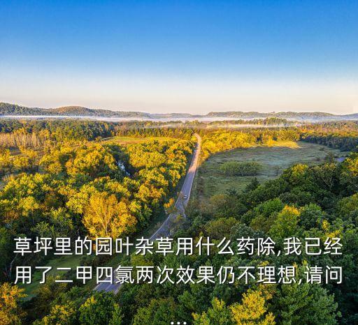 草坪里的園葉雜草用什么藥除,我已經用了二甲四氯兩次效果仍不理想,請問...