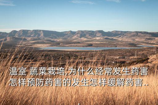 溫室 蔬菜栽培,為什么經(jīng)常發(fā)生藥害怎樣預(yù)防藥害的發(fā)生怎樣緩解藥害...