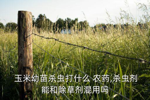  玉米幼苗殺蟲打什么 農(nóng)藥,殺蟲劑能和除草劑混用嗎