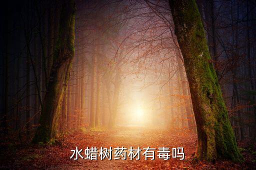 水蠟樹藥材有毒嗎