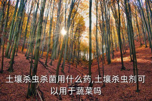 土壤殺蟲殺菌用什么藥,土壤殺蟲劑可以用于蔬菜嗎